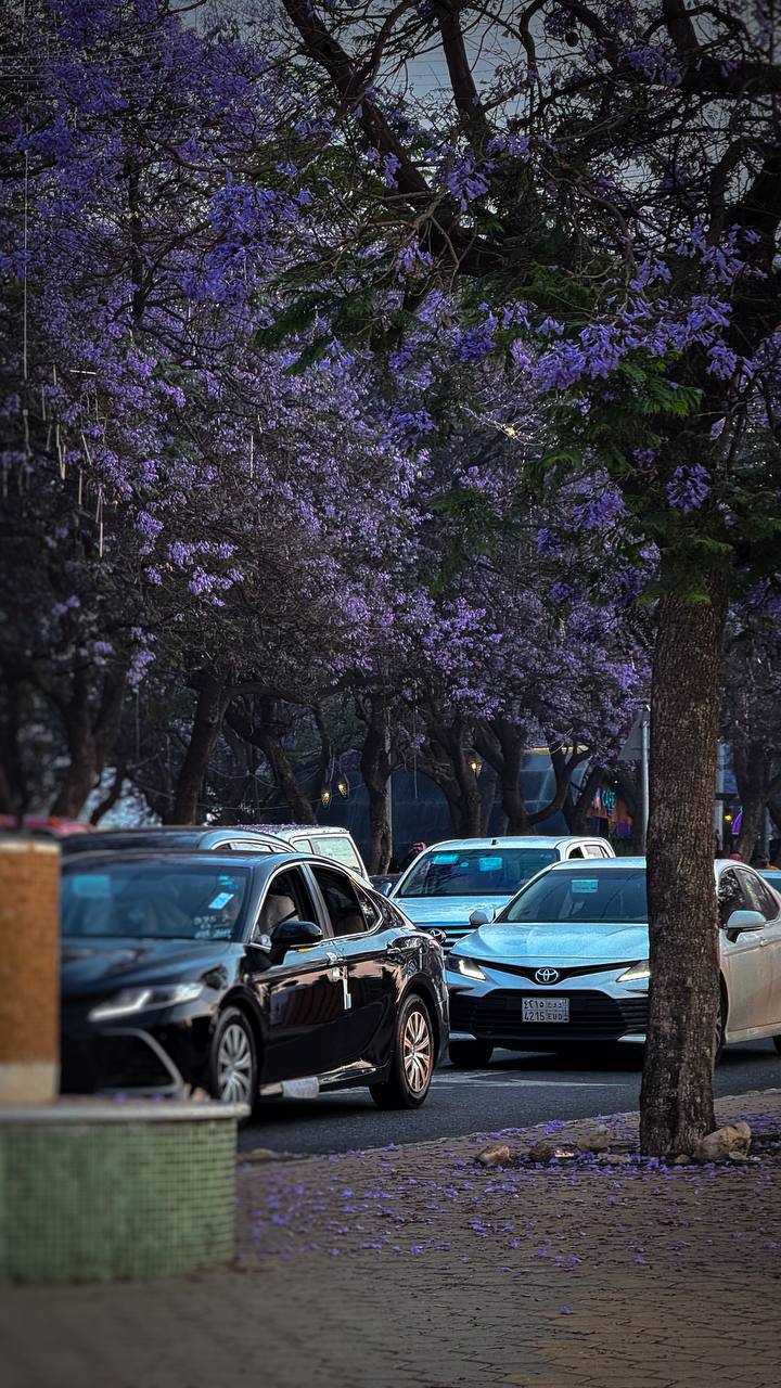 صورة حنين