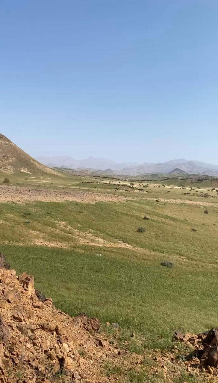 صورة بدر