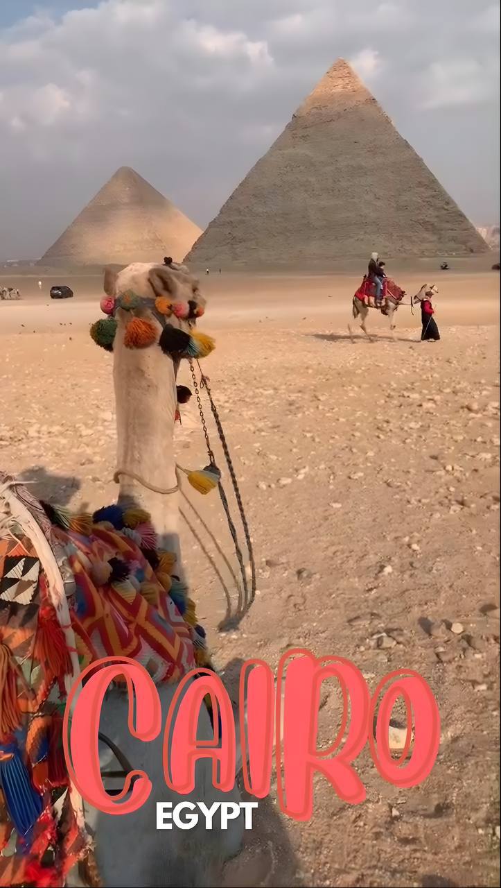 صورة عيوش